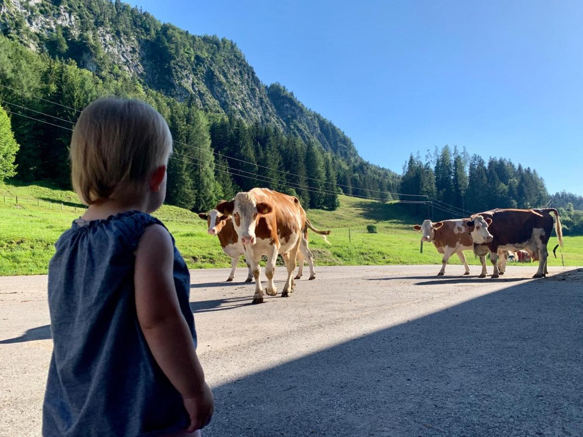 Hinterankerwald Διαμέρισμα Walchsee Εξωτερικό φωτογραφία