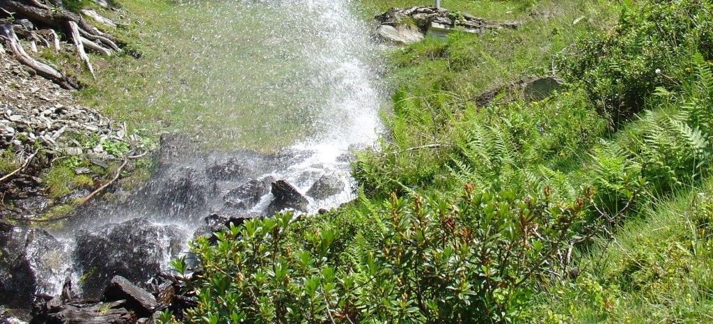 Hinterankerwald Διαμέρισμα Walchsee Δωμάτιο φωτογραφία