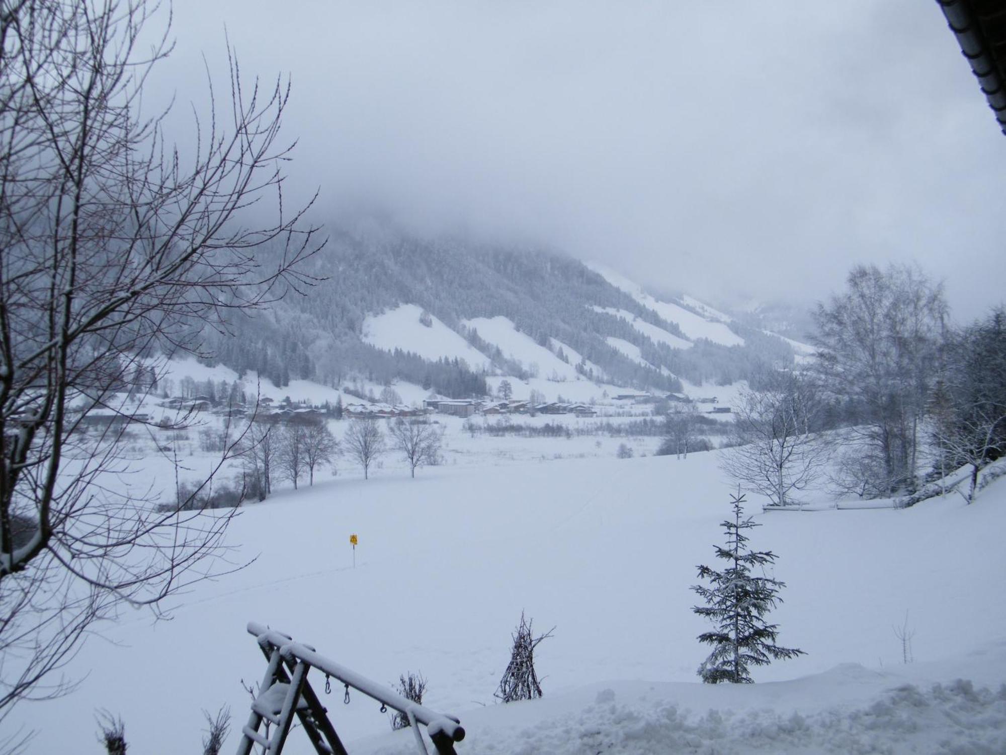 Hinterankerwald Διαμέρισμα Walchsee Εξωτερικό φωτογραφία
