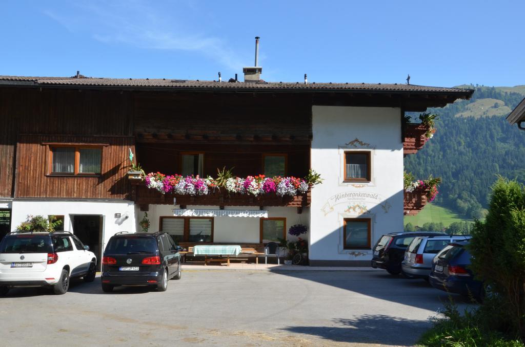 Hinterankerwald Διαμέρισμα Walchsee Εξωτερικό φωτογραφία